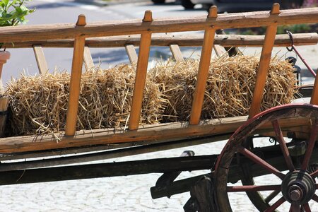 Wheel wood summer
