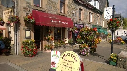 Sunny restaurant flowers