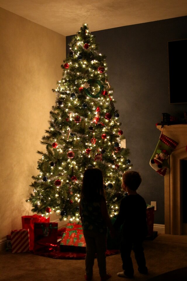 Holiday red xmas