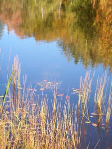 Water nature landscape