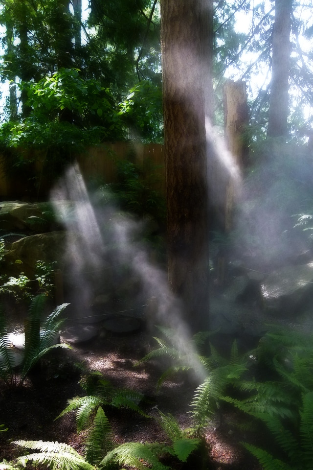 Sunlight landscape damp