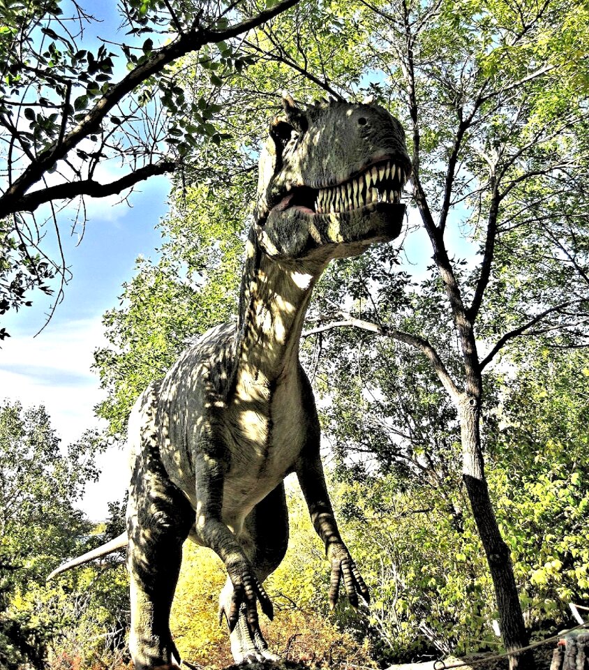 Calgary dinosaur park