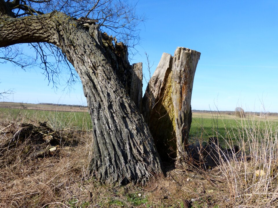 Broken split landscape