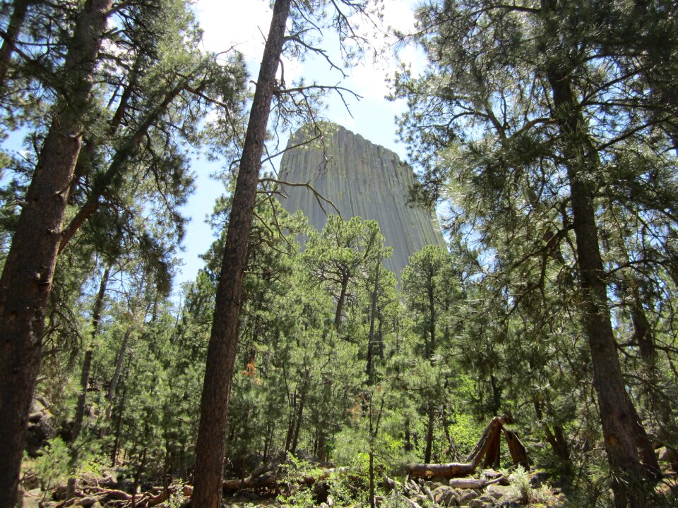 Devil's tower national park