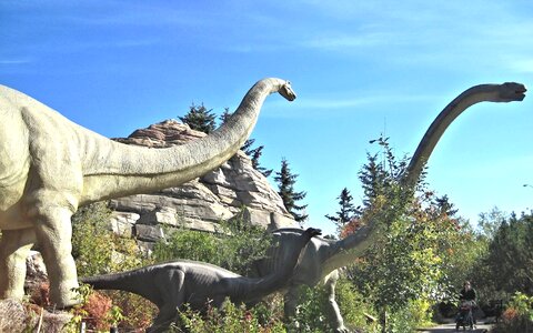 Zoo canada