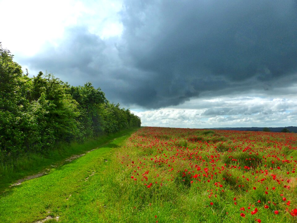 Colorful scene horizon