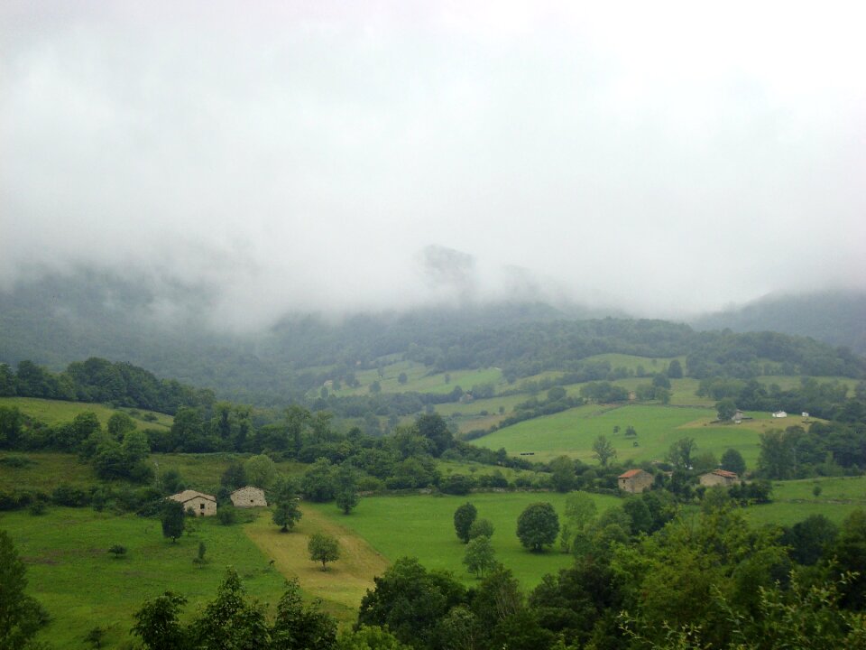 Green clouds