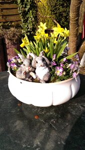 Rabbit easter decoration photo