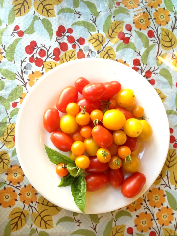 Cherry food tomato - Free photos on creazilla.com