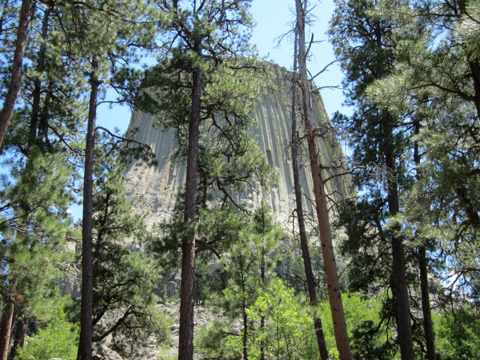 Devil's tower national park