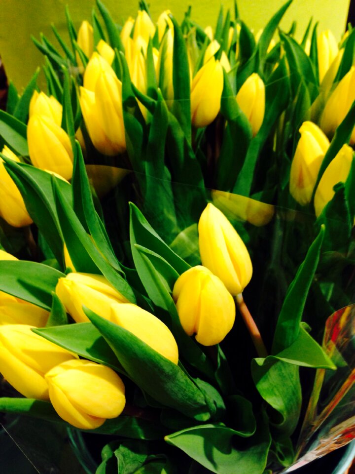 Spring aroma perfume