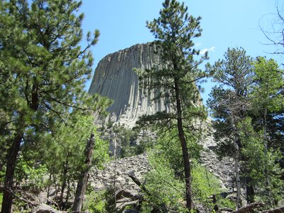 National park green devil