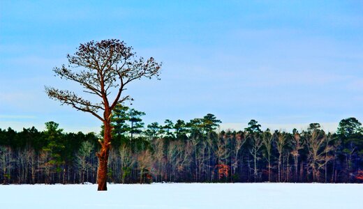 Season cold snow