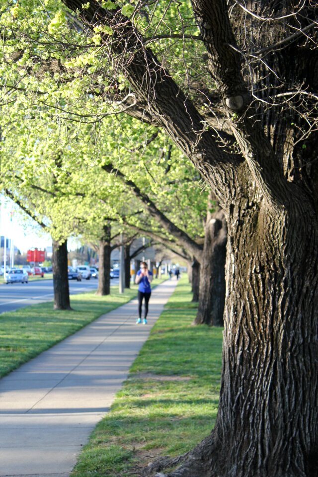 Footpath green