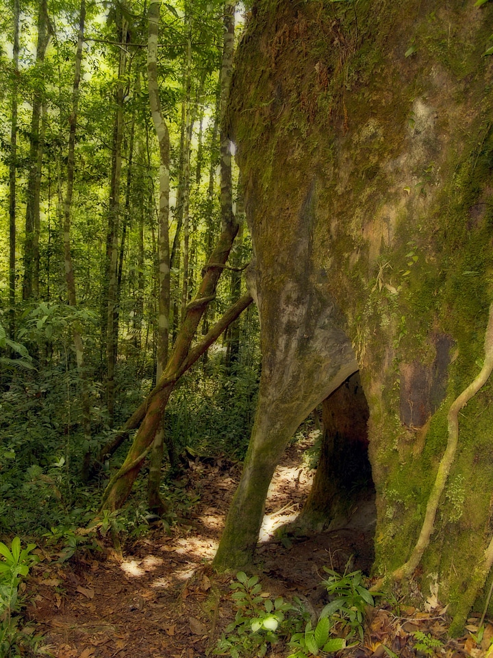 Brazil nature rocks