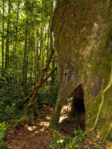 Brazil nature rocks