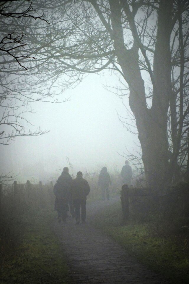 Winter mist