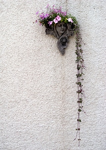 Ivy head decoration