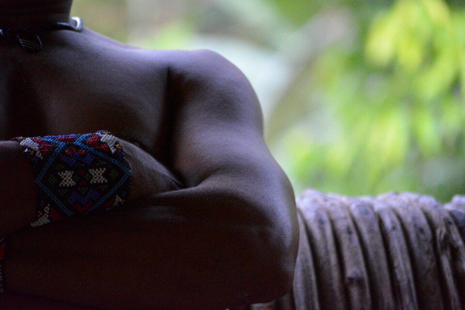 Indian crafts forest