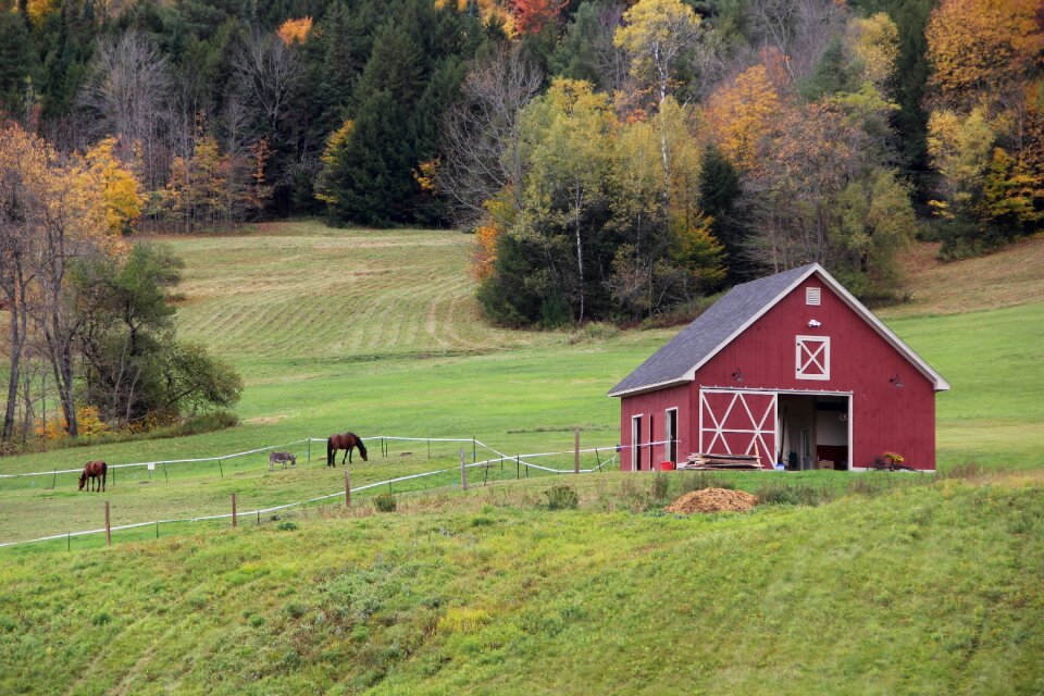 Farm farming farmland