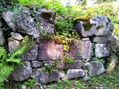 Rocks wall alpines
