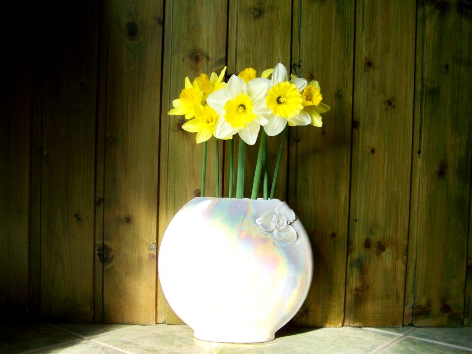Daffodil bouquet yellow flower still life