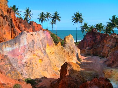 Coconut trees cliffs mar