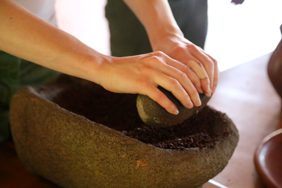 Chocolate cocoa nature
