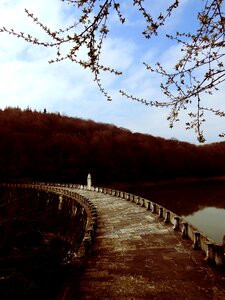 Dam forest water reservoir photo