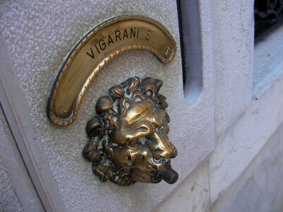 Italy lion artistic conception
