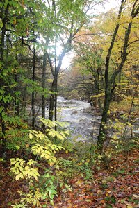 River rural natural