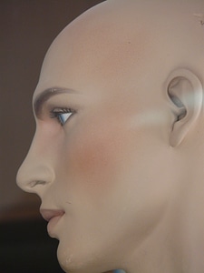 Hairstyle display dummy face photo