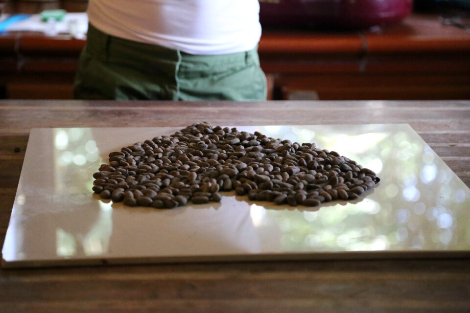 Organic nutrition cocoa