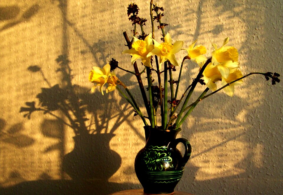 Still life light shadow daffodil bouquet