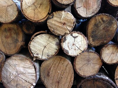 Firewood wooden log photo