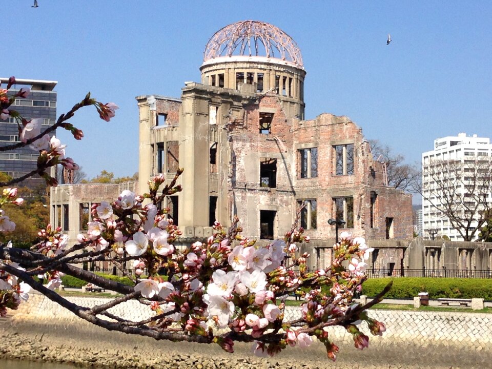 Sakura a-bomb dome peace