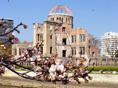 Sakura a-bomb dome peace