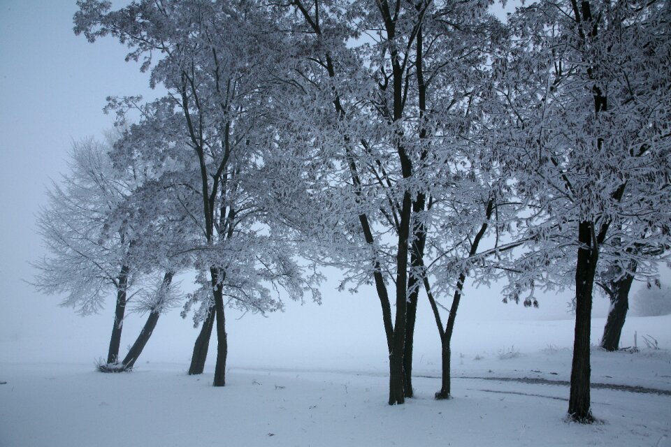 Snow landscape winter