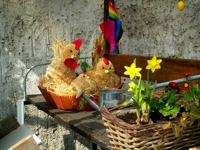 Customs easter decoration custom