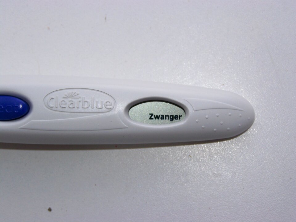 Pregnancy positive pregnant