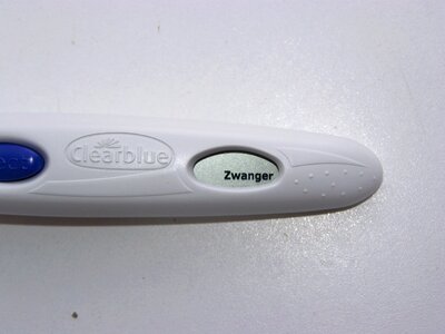 Pregnancy positive pregnant