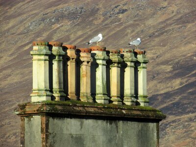 Smokestack masonry pot photo