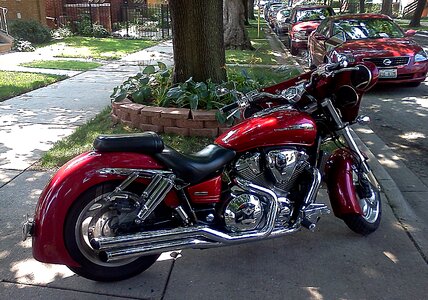Horse pleasure new motorcycle