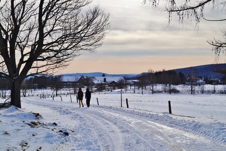 Road snowy frost