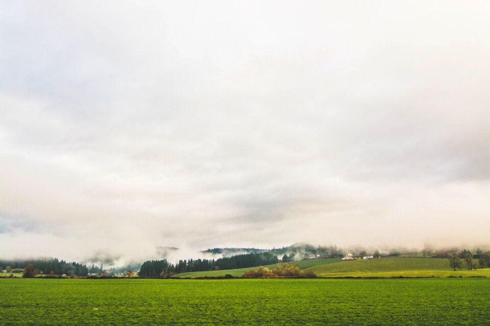 Grass clouds cloudy