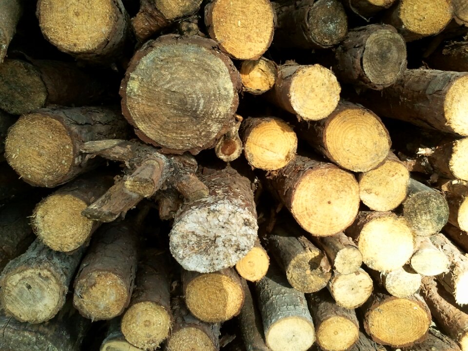 Rough background texture