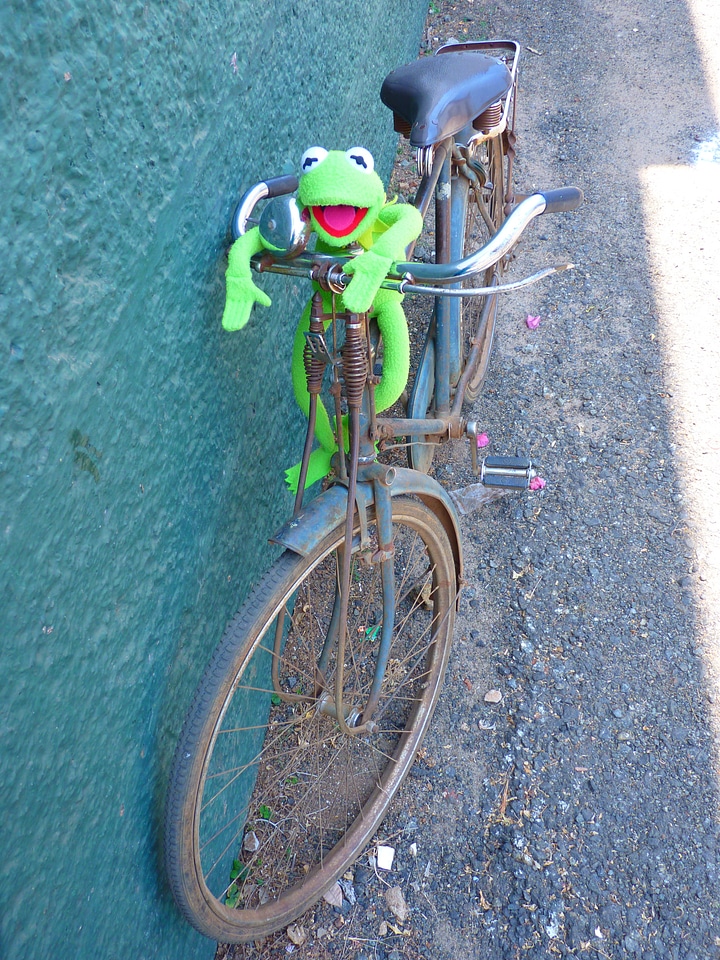 Cycling frog kermit