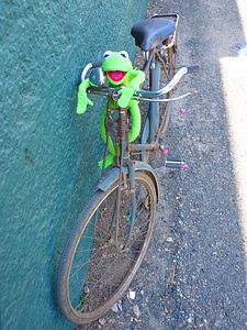 Cycling frog kermit photo