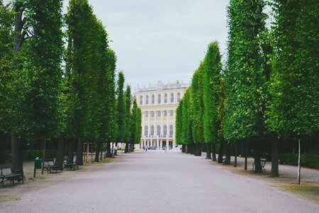 Trees shrubs building photo