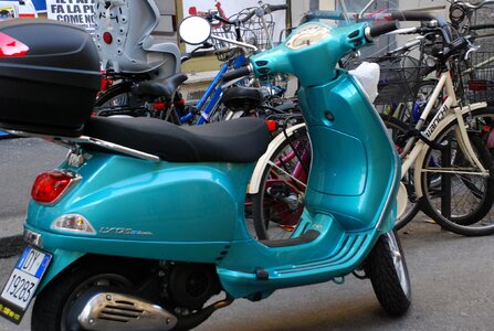 Wasp green made in italy